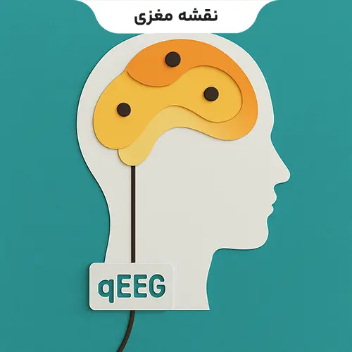 نقشه مغزی