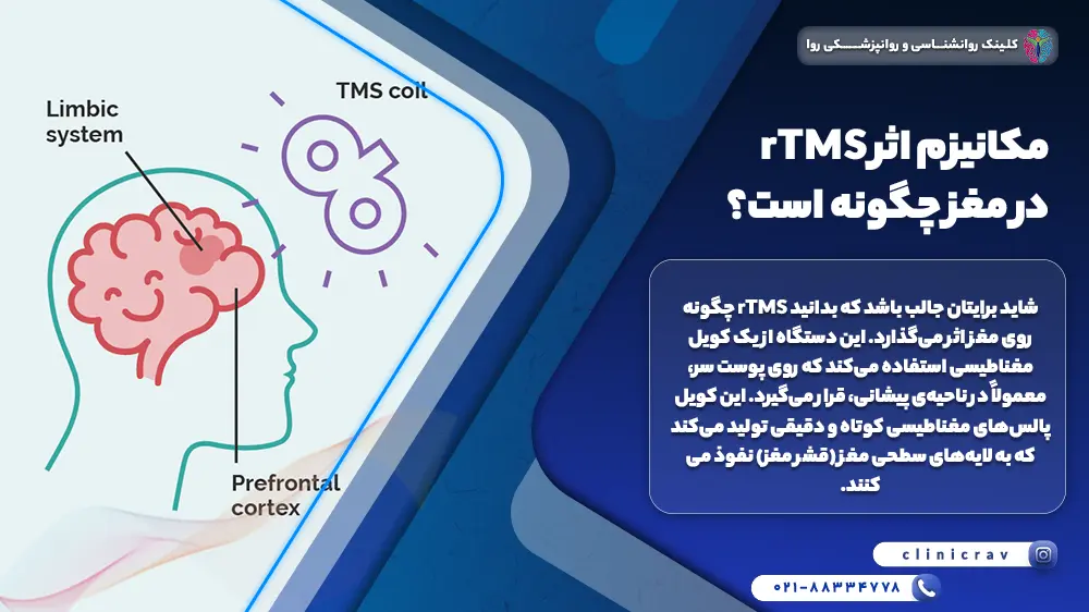 مکانیزم اثر rTMS در مغز چگونه است؟