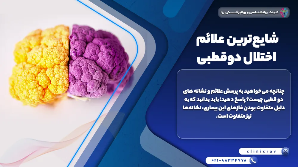 وکتور رنگی مغز و توضیح شایع‌ترین علائم اختلال دوقطبی